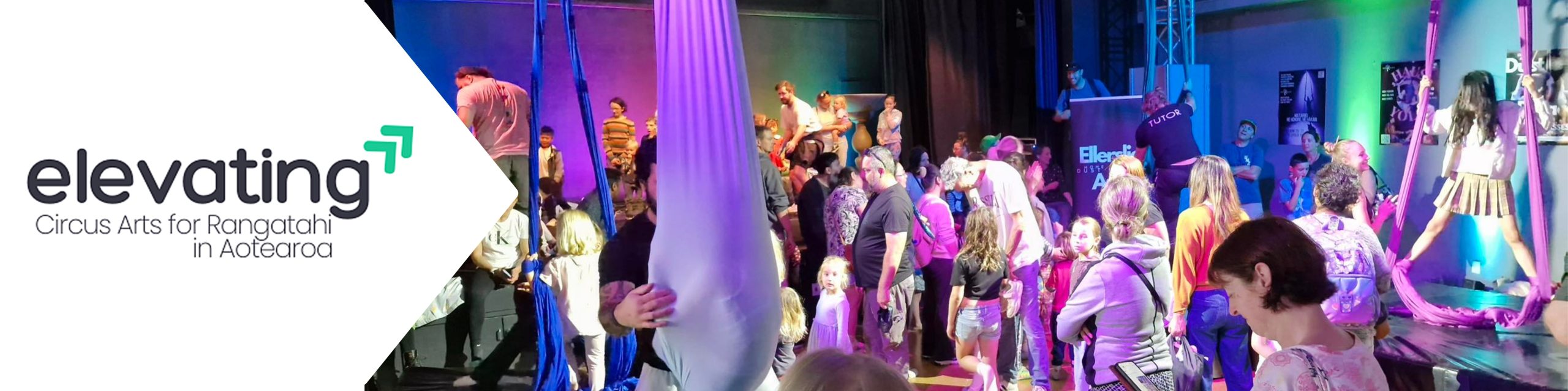 Rangatahi Survey Banner UPDATED